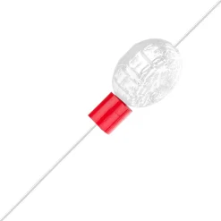 Carolina Keeper