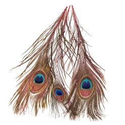Hareline Peacock Eyed Sticks