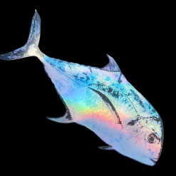 Hawaii Fishing Gear Stickers