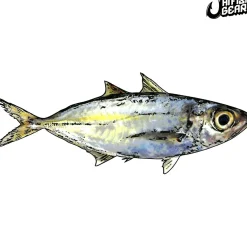 Hawaii Fishing Gear Stickers