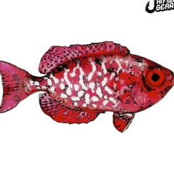 Hawaii Fishing Gear Stickers