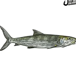 Hawaii Fishing Gear Stickers