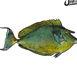 Hawaii Fishing Gear Stickers
