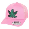 HFG - Florida Green Fish Pink Snapback Classic Trucker Hat