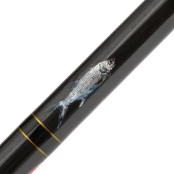HFG 2