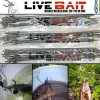 3 Pack - Nitta Live Bait Bridle Needle And Zip-Tie In One Gen 2 (60 Pieces)