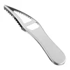 Stainless Steel Fish Scaler & Bottle Opener